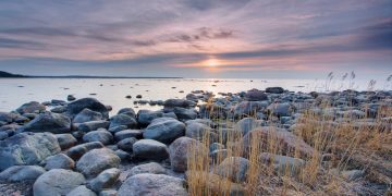 How to get a Vietnam business visa from Estonia