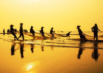 How to apply a Vietnam business visa from Bulgaria