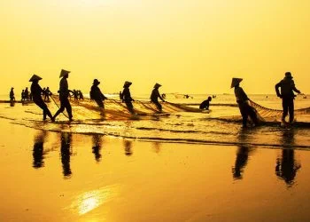 How to apply a Vietnam business visa from Bulgaria