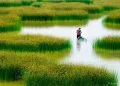 How to get a Vietnam business visa from Croatia