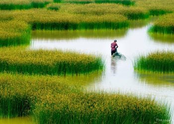 How to get a Vietnam business visa from Croatia