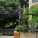 Vietnam Embassy in Bangladesh