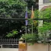 Vietnam Embassy in Bangladesh
