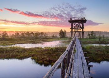 Vietnam visa on arrival for Estonian citizens