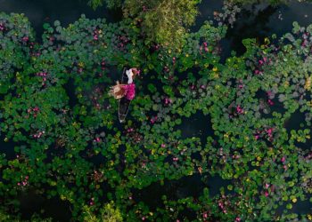 How to apply a Vietnam tourist visa from Belarus