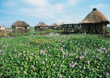 How to apply for a Vietnam business visa from Benin