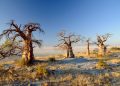 How to apply for a Vietnam business visa from Botswana