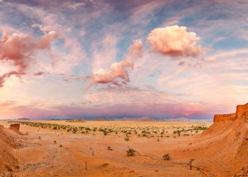 How to apply for a Vietnam business visa from Burkina Faso