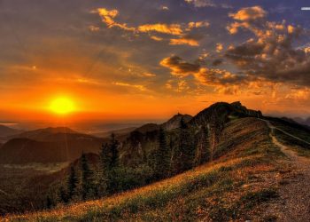 How to apply for a Vietnam business visa from Cameroon