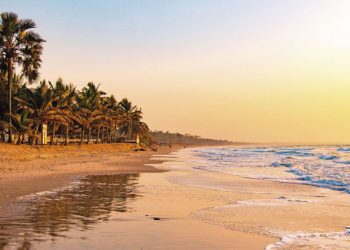 How to apply for a Vietnam business visa from Gambia