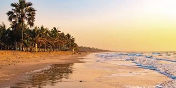 How to apply for a Vietnam business visa from Gambia