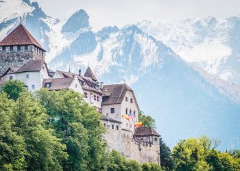 How to apply for a Vietnam business visa from Liechtenstein