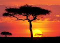 How to apply for a Vietnam business visa from Malawi