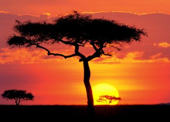 How to apply for a Vietnam business visa from Malawi