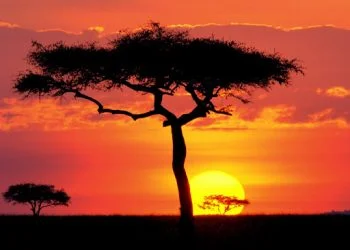 How to apply for a Vietnam business visa from Malawi