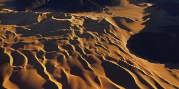 How to apply for a Vietnam business visa from Niger