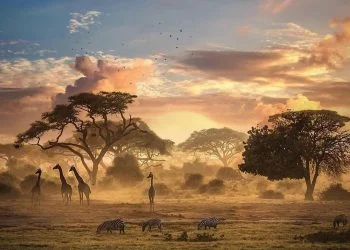 How to get a Vietnam business visa from Sierra Leone