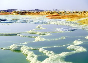 How to apply for a Vietnam business visa from Zambia