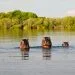How to apply for a Vietnam tourist visa from Botswana