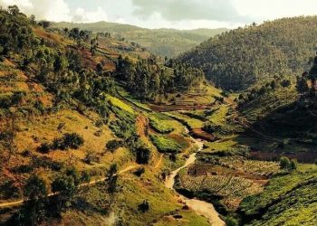 How to apply for a Vietnam tourist visa from Burundi