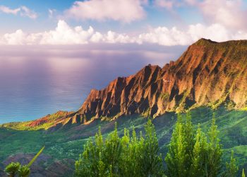 How to apply for a Vietnam tourist visa from Zambia