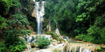 How to apply for a Vietnam business visa from Comoros