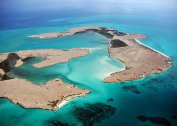 How to apply for a Vietnam business visa from Djibouti