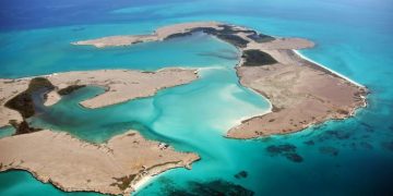 How to apply for a Vietnam business visa from Djibouti