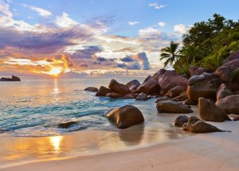 How to apply for a Vietnam Business visa from Seychelles