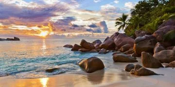 How to apply for a Vietnam Business visa from Seychelles