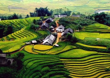 How to apply for a Vietnam tourist visa from Guinea-Bissau