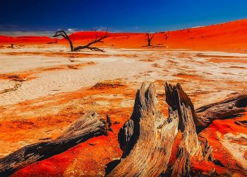 How to apply for a Vietnam tourist visa from Burkina Faso