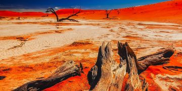 How to apply for a Vietnam tourist visa from Burkina Faso