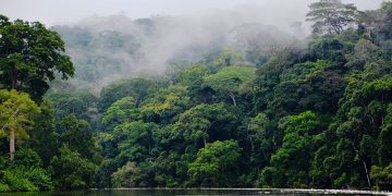 How to apply for a Vietnam tourist visa form Central Africa Republic