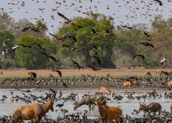 How to apply for a Vietnam tourist visa form Chad?