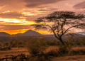 How to get a Vietnam tourist visa from Ethiopia