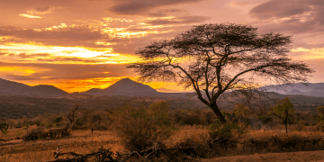 How to get a Vietnam tourist visa from Ethiopia