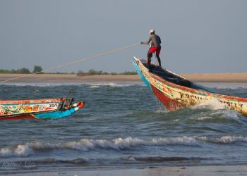 How to apply for a Vietnam tourist visa from Gambia