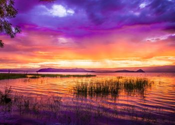 How to get a Vietnam tourist visa from Kenya