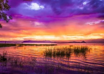 How to get a Vietnam tourist visa from Kenya