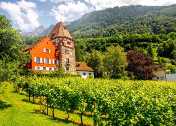 How to get a Vietnam tourist visa from Liechtenstein