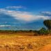 How to apply for a Vietnam tourist visa from Mali