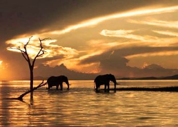 How to apply for a Vietnam tourist visa from Zimbabwe