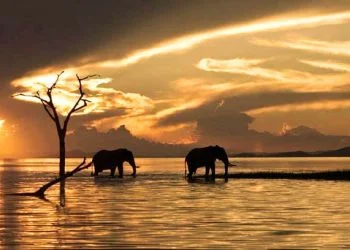 How to apply for a Vietnam tourist visa from Zimbabwe