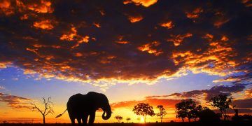 Vietnam visa on arrival for Botswana citizens