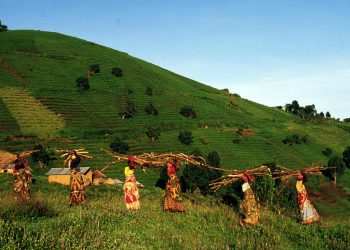 Vietnam visa on arrival for Central African Republic citizens