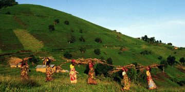 Vietnam visa on arrival for Central African Republic citizens