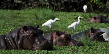 Vietnam visa on arrival for Guinea-Bissauan Citizens