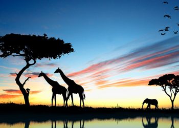 Vietnam visa on arrival for Kenyan citizens