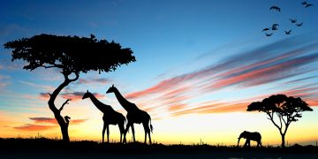 Vietnam visa on arrival for Kenyan citizens